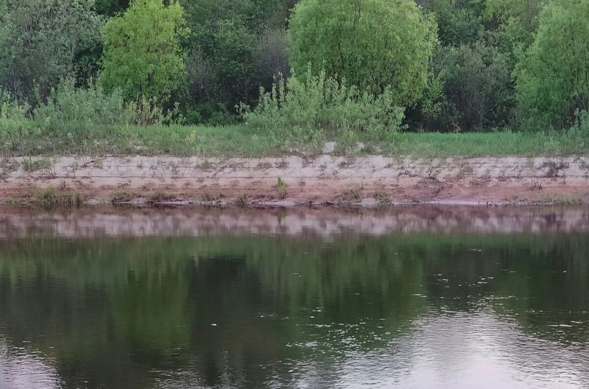1,2 млн рублей заплатит водоканал в Богородске за загрязнение реки Рязанка - фото 1
