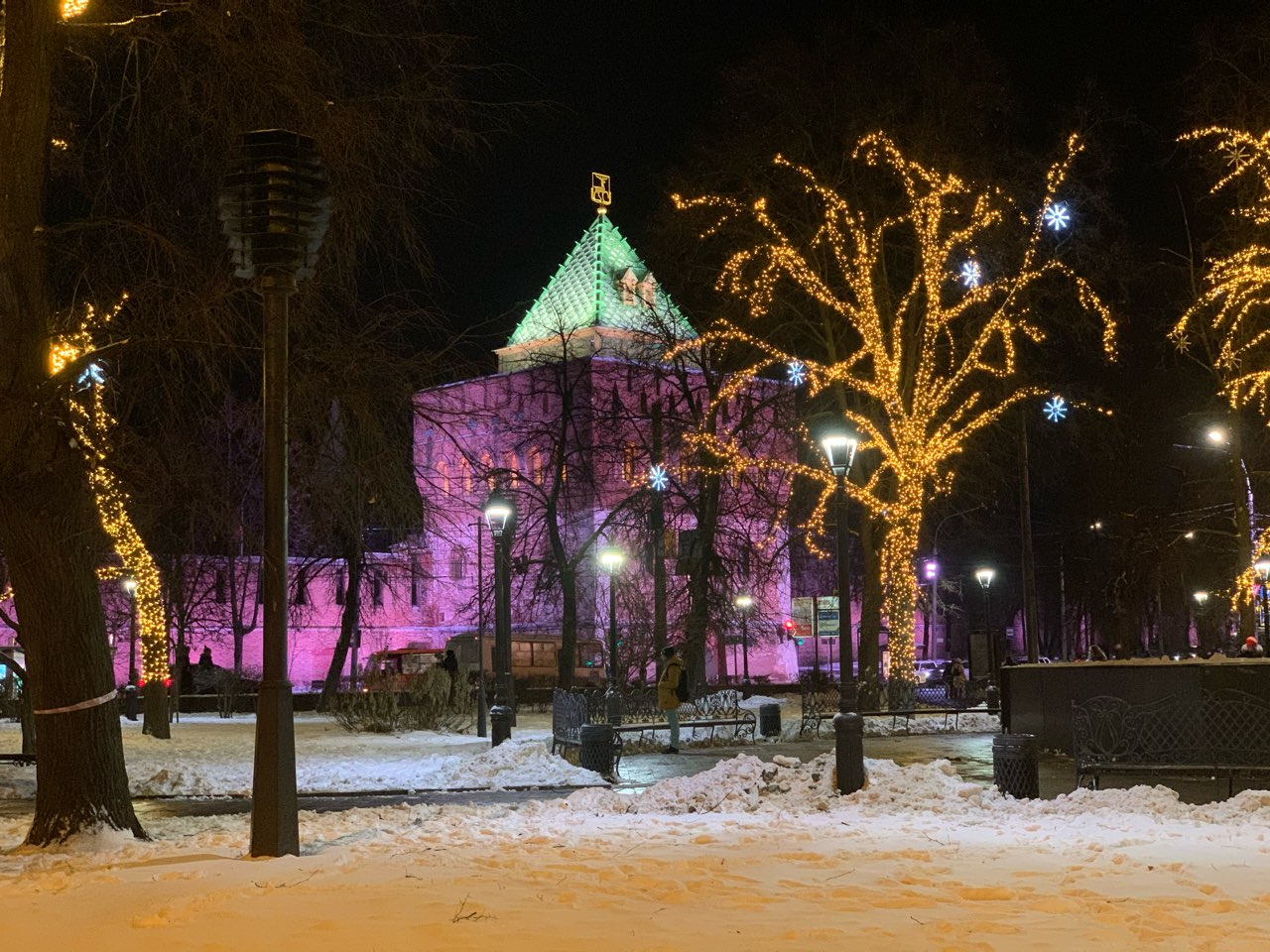 Полмиллиона рублей администрация Нижнего Новгорода потратит на покупку трех новогодних елей - фото 1