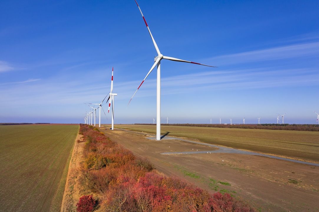 Три ветропарка построят на Дону к 2029 году - Фото 1