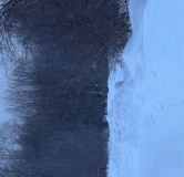 Ход строительства дома 1, секция 1.1 в ЖК Расцветай в Новолуговом -