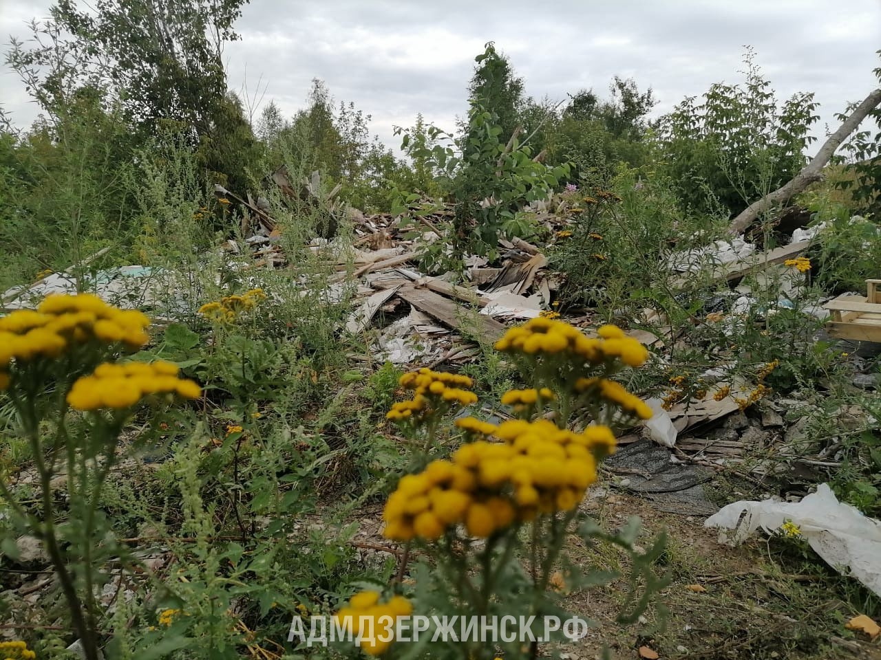 К ликвидации свалки у полигона «Игумново» в Дзержинске приступят в 2023 году - фото 1