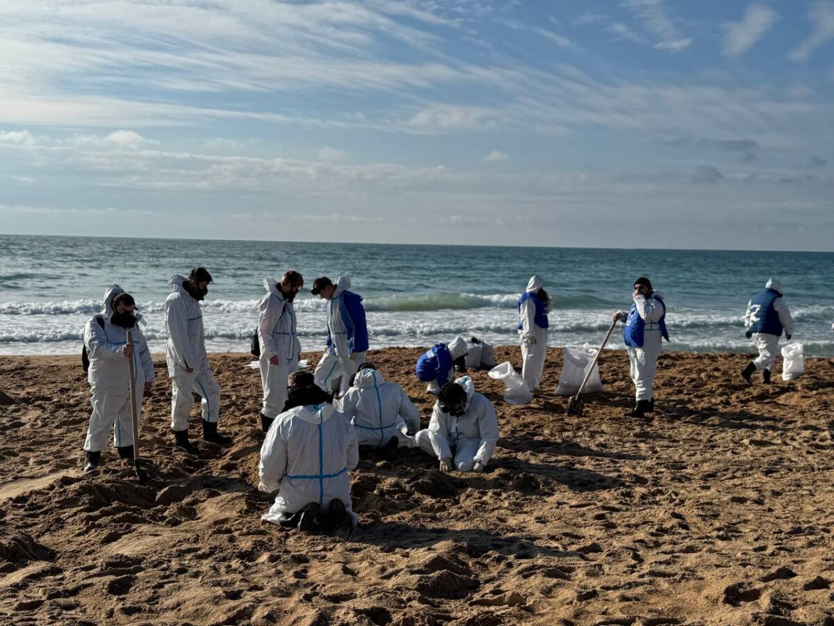 Юрий Слюсарь: Песок с мазутом с Кубани больше не повезут на полигоны Ростовской области - Фото 1