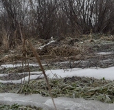 Ход строительства дома 3, секция 3.1 в ЖК Расцветай в Новолуговом -