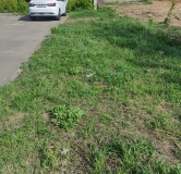 Ход строительства дома 1 в ЖК Уникум по ул. Максимова -
