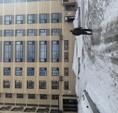 Ход строительства дома 1 в ЖК Расцветай на Авиастроителей -