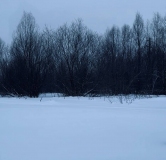 Ход строительства дома 3, секция 3.1 в ЖК Расцветай в Новолуговом -