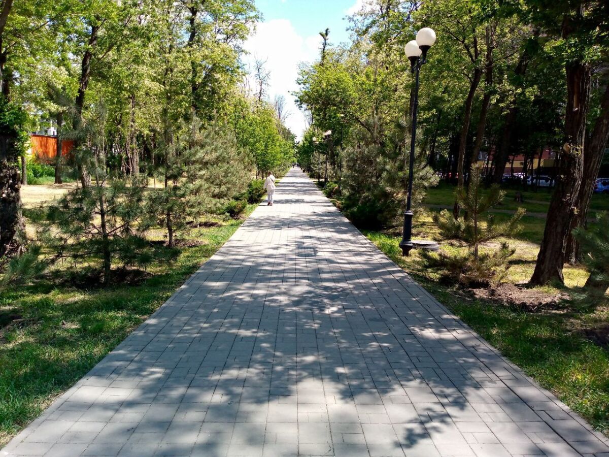 Ростовчанам объяснили причину сноса ясеней в парке «Осеннем» - фото 1