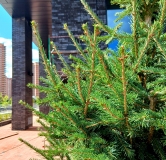 Ход строительства дома секция 1,2 в ЖК Тайм Сквер -