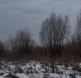 Ход строительства дома 2, секция 2.1 в ЖК Расцветай в Новолуговом -