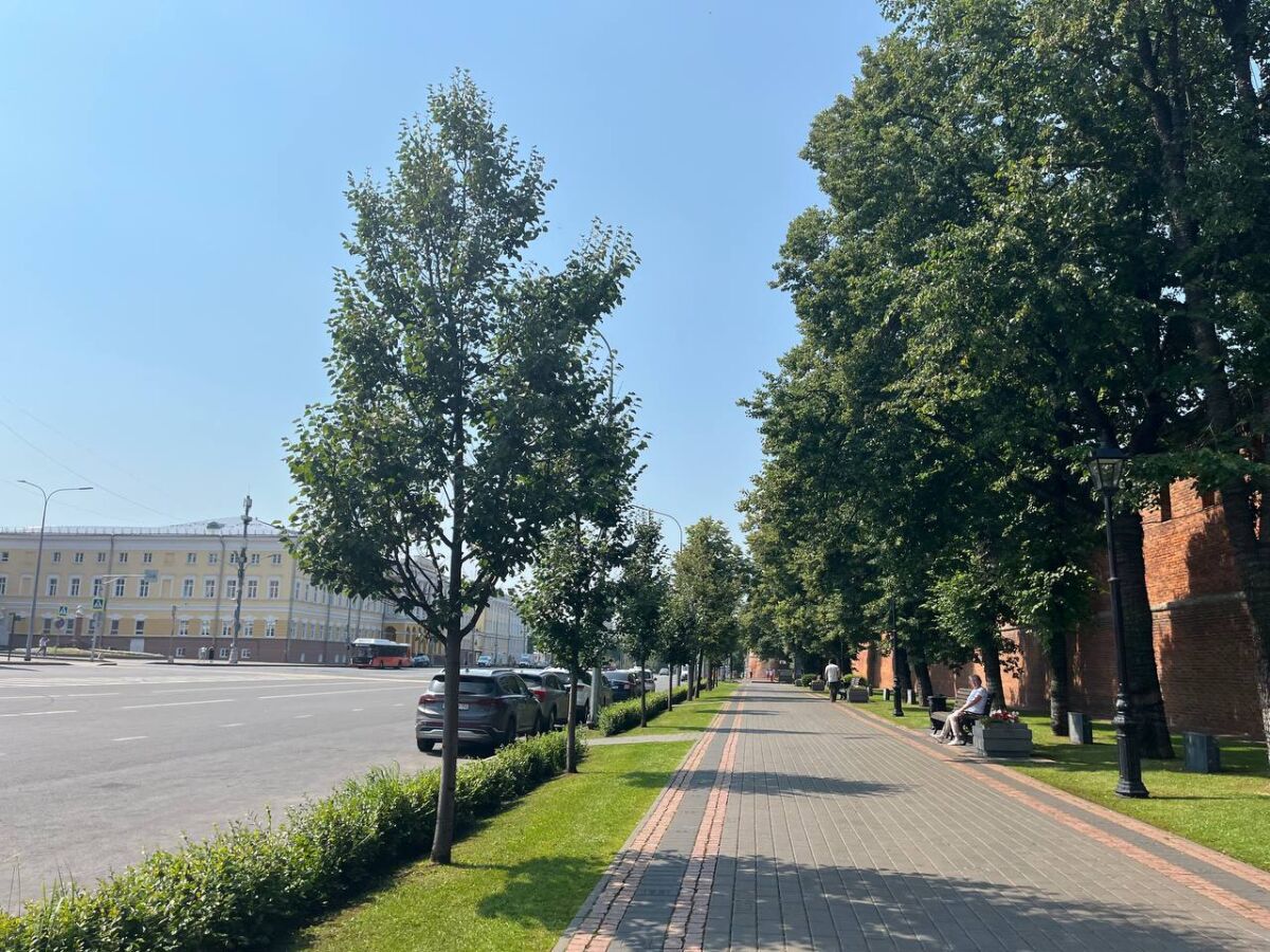 Семья французов хочет запустить завод по производству биочара в Нижнем Новгороде - фото 1