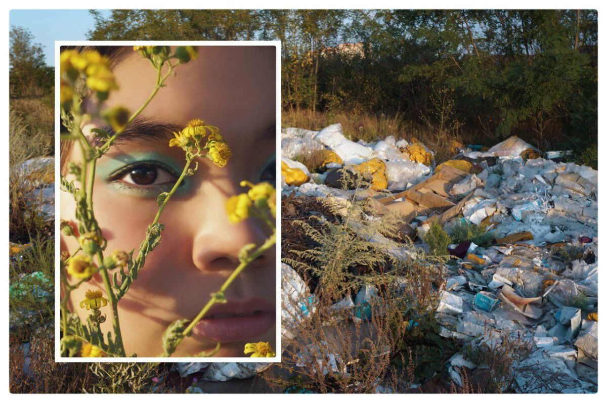 Свалку рядом с Щепкинским лесом в Ростове ликвидировали после фотосессии - фото 1