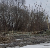 Ход строительства дома 3, секция 3.1 в ЖК Расцветай в Новолуговом -