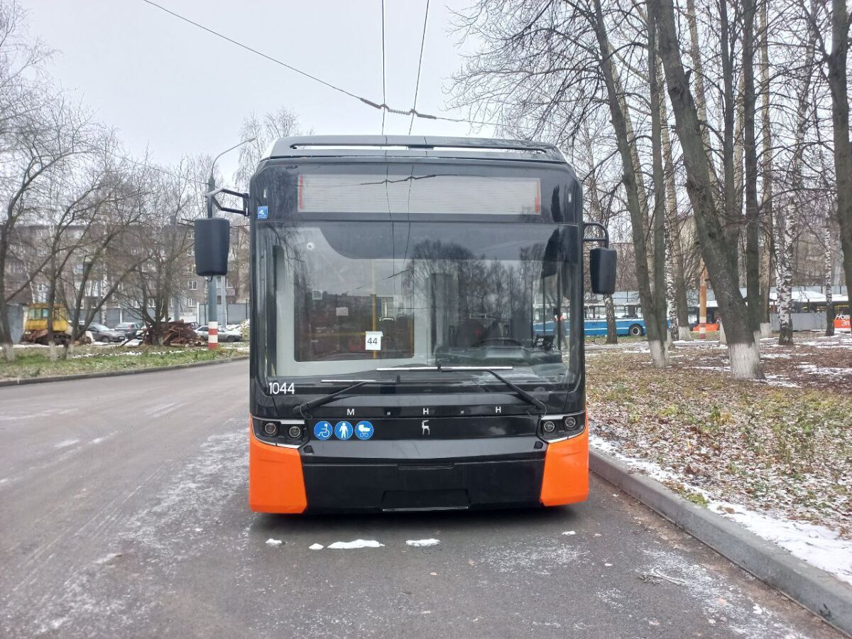 Нижегородка собирает подписи против изменения автобусного маршрута А-31 - фото 1