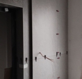 Ход строительства дома № 2, корпус 1 (ГП-1.1) в ЖК Маяковский -